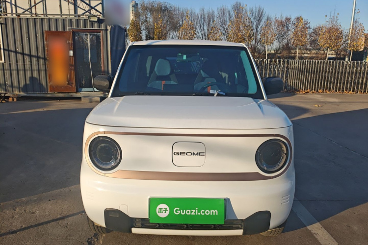 吉利银河 2024款 熊猫mini 200km 龙腾PRO版车身外观2