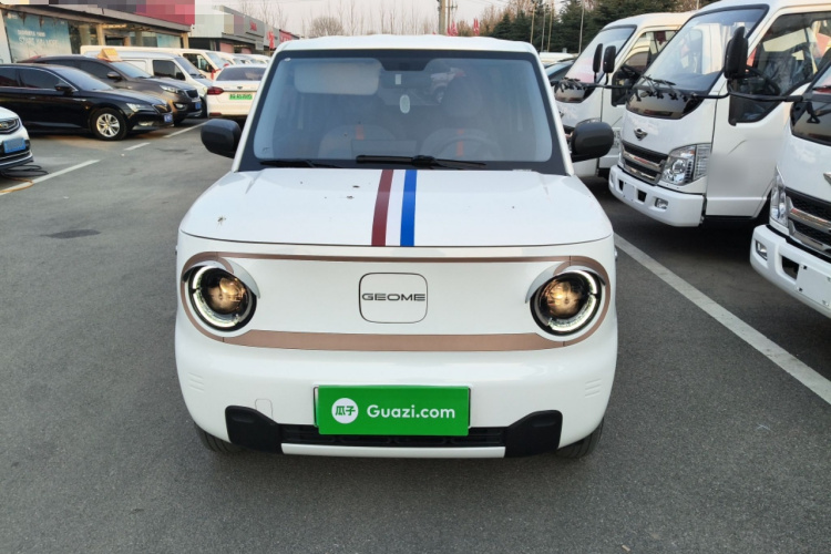 吉利银河 2024款 熊猫mini 200km 耐力熊车身外观2