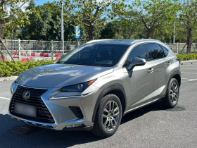 雷克萨斯NX 2018款 300 全驱 锋尚版