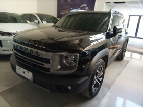 哈弗大狗 2024款 1.5T DCT边牧版