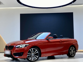 宝马2系(进口) 2019款 225i 敞篷轿跑车 运动设计套装