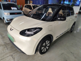 五菱汽车 五菱缤果 2023款 333km 悦享款