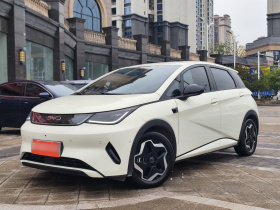 比亚迪 海豚 2025款 智驾版 420km 自由版