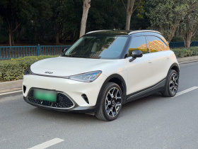 smart精灵#1 2022款 Pulse心动版