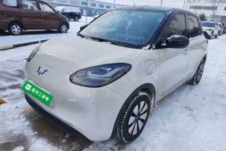 五菱汽车 五菱缤果 2024款 333km 悦享款