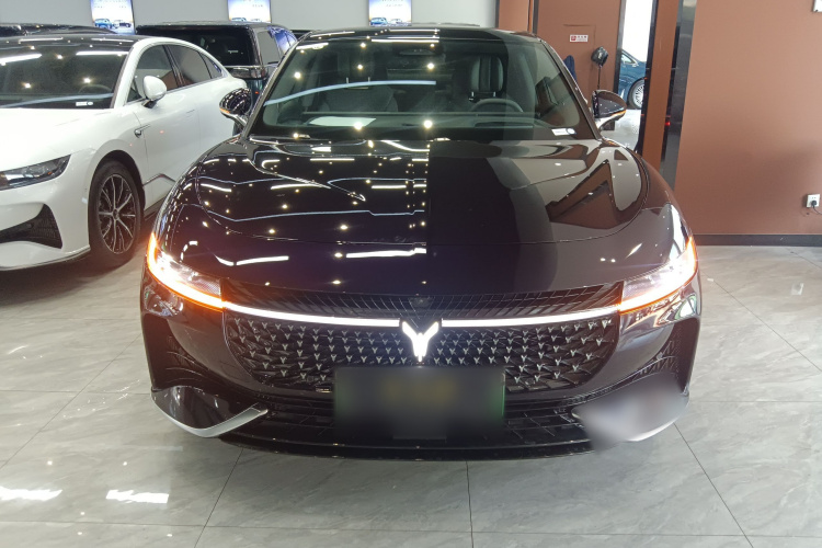 岚图汽车 岚图追光 2024款 PHEV 四驱超长续航旗舰版车身外观6001