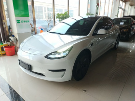 特斯拉 Model 3 2021款 标准续航后驱升级版 3D6