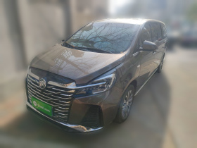 别克GL8 2023款 陆上公务舱 652T 豪华型