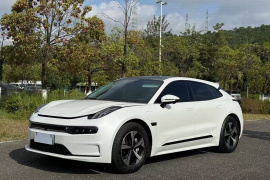 极氪001 2023款 WE版 100kWh