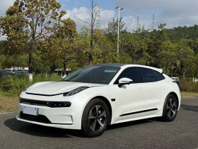 极氪001 2023款 WE版 100kWh