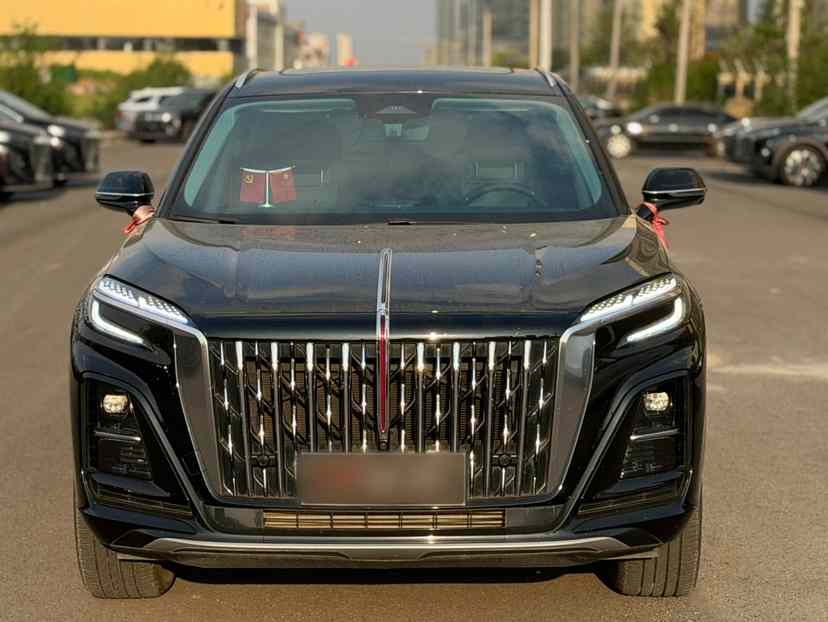 红旗HS3 PHEV 2024款 115km 劲为版(5)