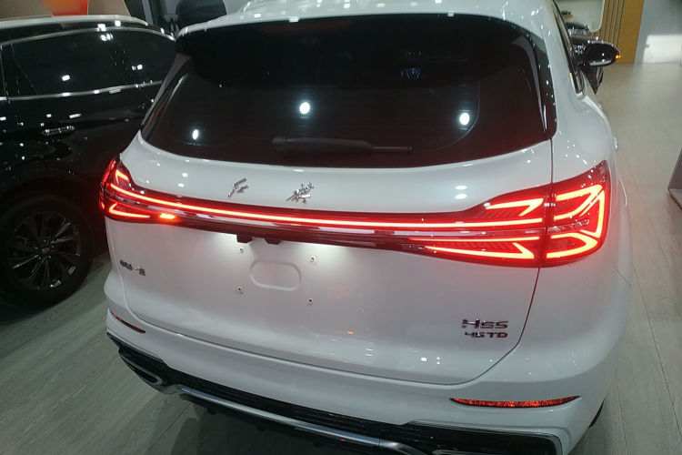 红旗HS5 2023款 2.0T 旗享Pro版车身外观6