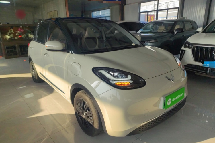 五菱汽车 五菱缤果 2023款 203km 舒享款车身外观3