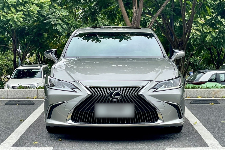 雷克萨斯ES 2020款 200 卓越版车身外观6002