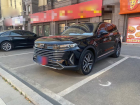 奔腾T99 2023款 2.0T 自动尊享型（6AT）