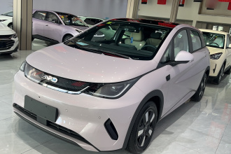 比亚迪 海豚 2025款 智驾版 420km 自由版