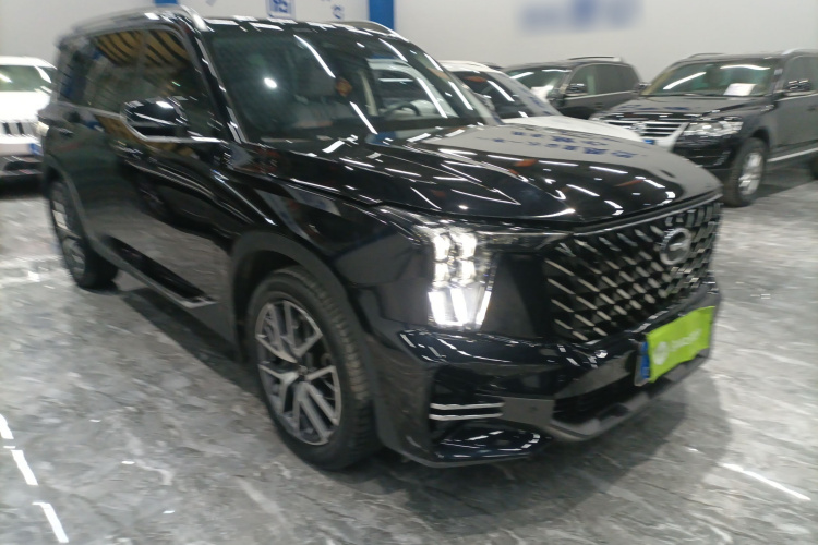 广汽传祺 传祺GS8 2022款 领航系列 2.0TGDI 两驱豪华智联版（七座）车身外观3