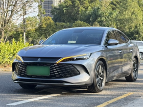 比亚迪 秦L 2024款 DM-i 80KM超越型