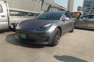 特斯拉 Model 3(进口) 2019款 长续航后驱版