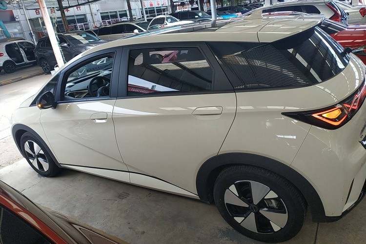 比亚迪 海豚 2023款 420km 时尚版车身外观4