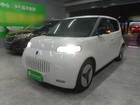 欧拉白猫 2020款 401km 长续航型