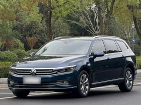 大众 蔚揽 2021款 2.0T 畅行版