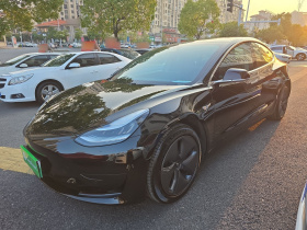 特斯拉 Model 3 2020款 改款 标准续航后驱升级版