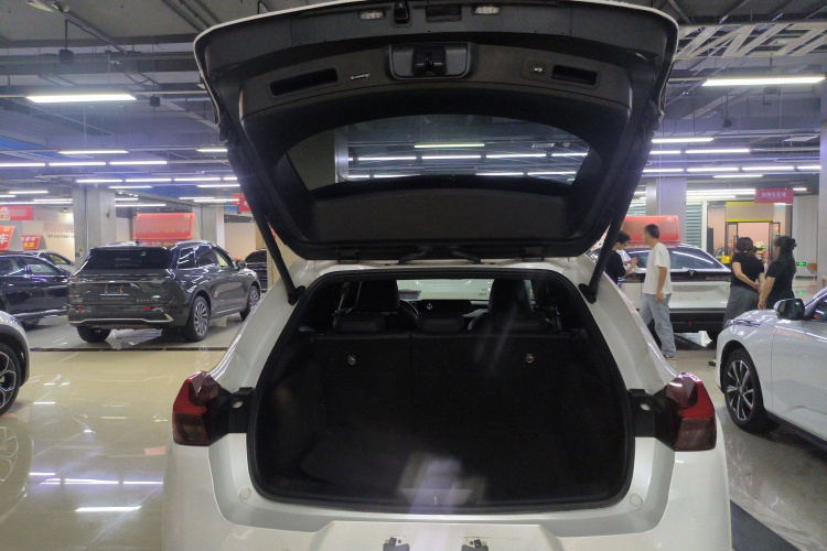 雷克萨斯UX新能源 2020款 300e 纯·悦版中控内饰23