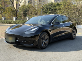 特斯拉 Model 3 2019款 标准续航后驱升级版