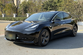 特斯拉 Model 3 2019款 标准续航后驱升级版