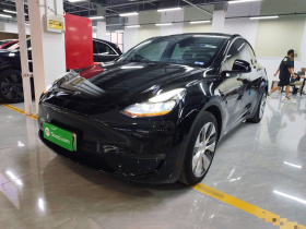 特斯拉 Model Y 2021款 标准续航后驱版