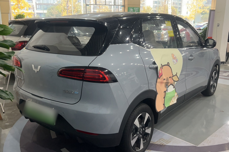 五菱汽车 五菱缤果PLUS 2024款 401km 五座版车身外观6003