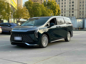 别克 世纪 2023款 2.0T 四座私享版