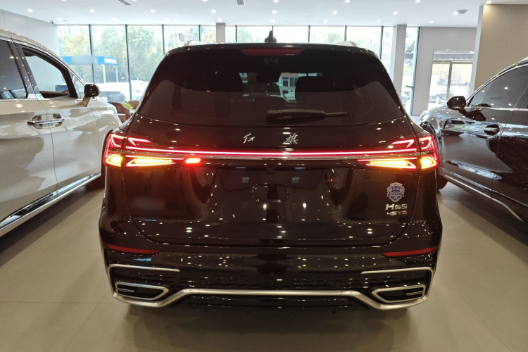 红旗HS5 2023款 2.0T 旗享Pro版车身外观6004