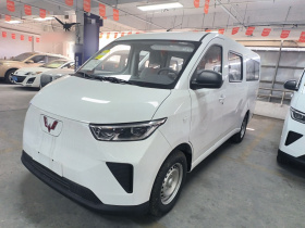 五菱汽车 五菱扬光 2024款 300KM 舒适型客车版 75kW