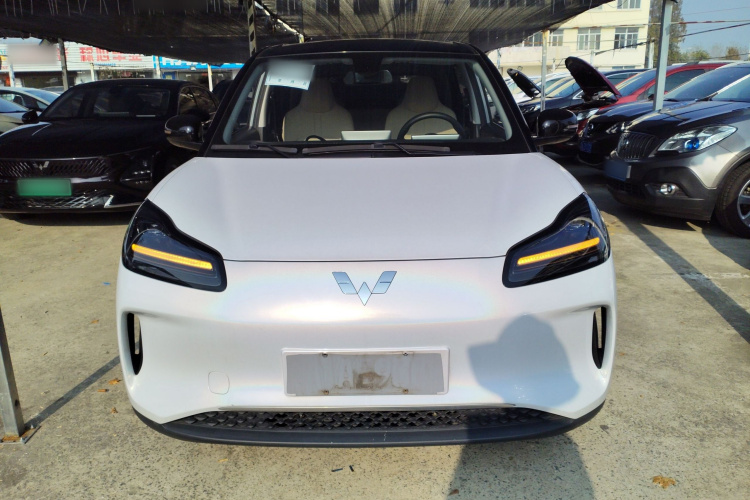 五菱汽车 五菱缤果PLUS 2024款 510km 旗舰版 四座版车身外观2