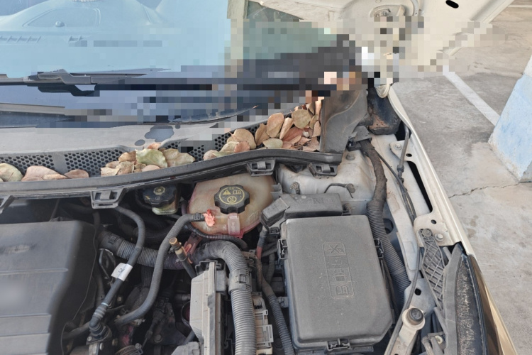 雪佛兰 科鲁兹 2016款 1.5L 自动豪华版局部细节9007