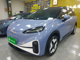 ARCFOX极狐 极狐考拉 2023款 家庭版Pro