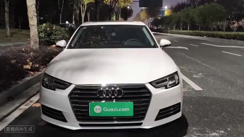 奥迪A4L 2018款 30周年年型 40 TFSI 进取型检测视频1