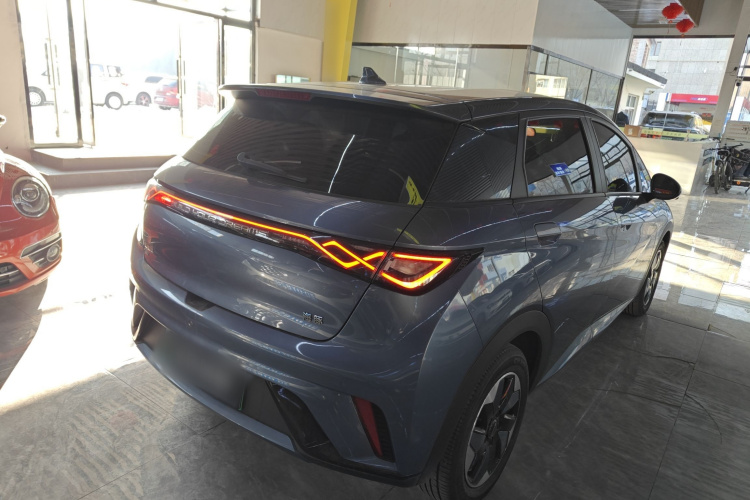 比亚迪 海豚 2024款 荣耀版 420km 自由版车身外观7