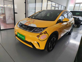 比亚迪 海豚 2024款 荣耀版 420km 时尚版