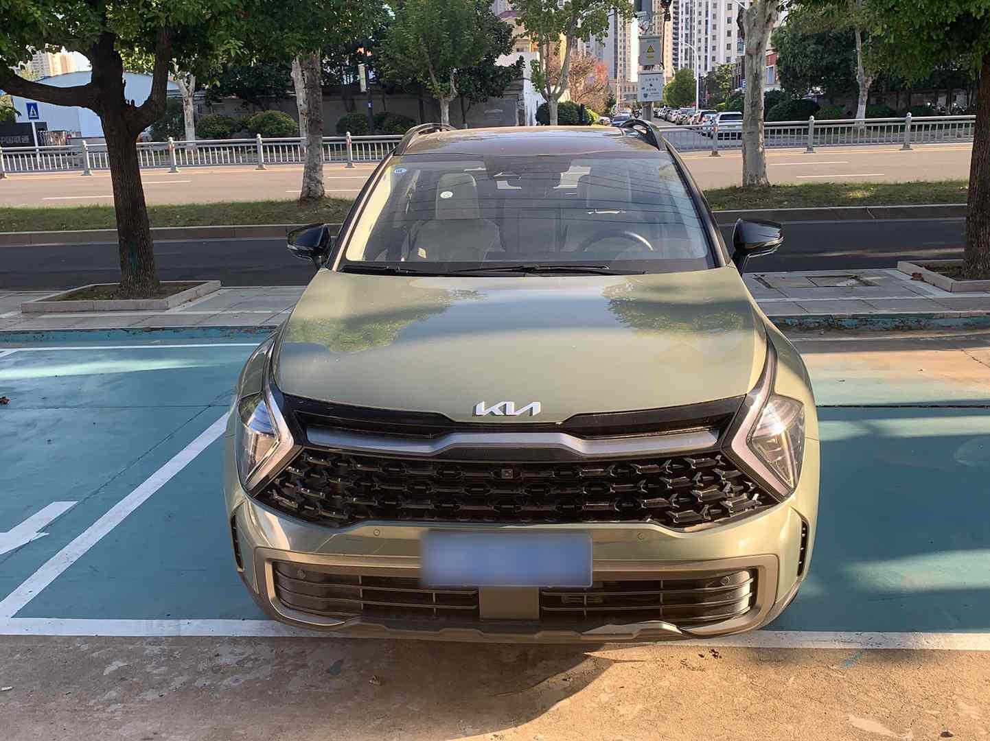 起亚 狮铂拓界 2023款 2.0L HEV 两驱旗舰版(2)