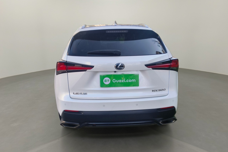 雷克萨斯NX 2020款 300 前驱 锋行版 国V车身外观6