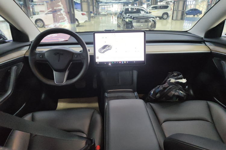 特斯拉 Model 3 2021款 标准续航后驱升级版中控内饰7002