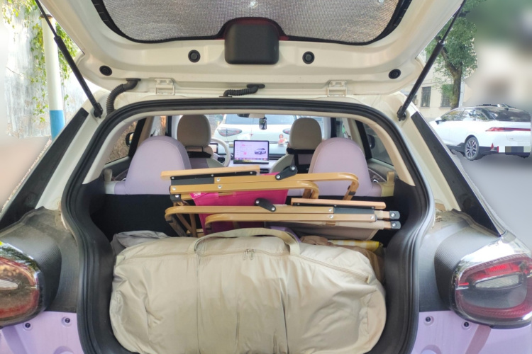 东风纳米 纳米01 2024款 330 Plus智+中控内饰23