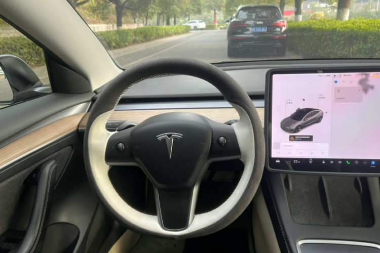 特斯拉 Model 3 2021款 标准续航后驱升级版 3D6局部细节13