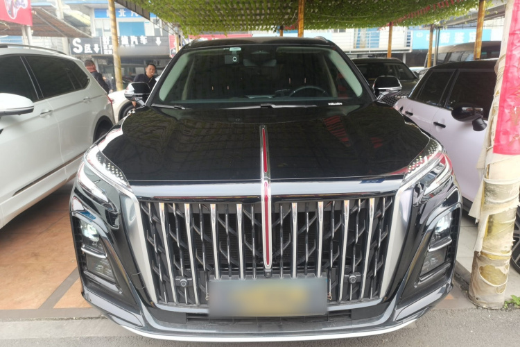 红旗HS3 2024款 1.5T 善为版车身外观6001