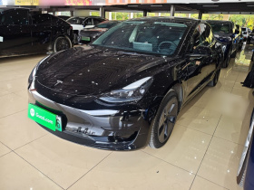 特斯拉 Model 3 2022款 后轮驱动版