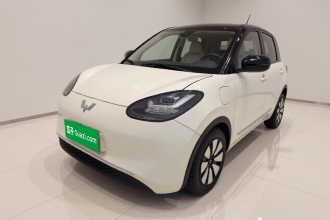 五菱汽车 五菱缤果 2023款 333km 悦享+款