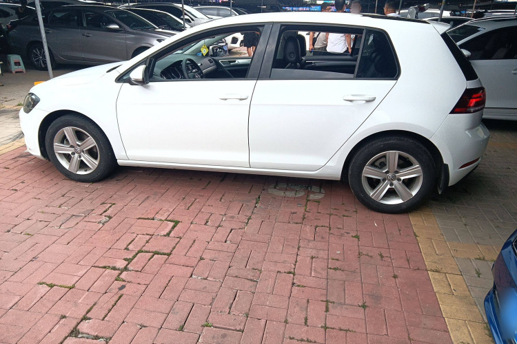 大众 高尔夫 2018款 1.6L 自动时尚型车身外观6003